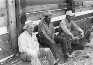 Red Rushton, Brose-Hadley and Eldis Barber, swearing light colored cowboy hats and sitting inside pens at the Ogden Union Stockyards. Thank you to Don Strack for generously sharing this photo, part of his extensive gallery.