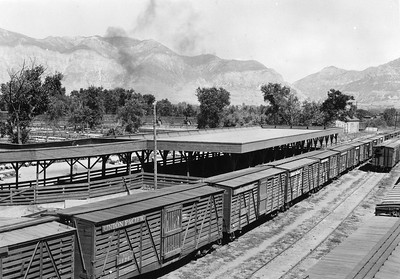 Ogden-Union-Stockyards_sheep-div-loading-chutes_knowles_OgdenRails1-63A-S. Thank you to Don Strack for generously sharing this photo, part of his extensive gallery.